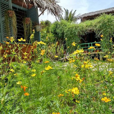 Bach Cuc Homestay Long Hải Exteriér fotografie