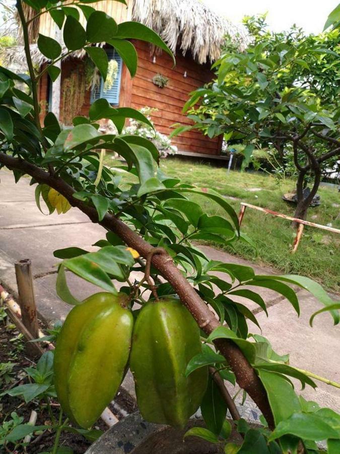 Bach Cuc Homestay Long Hải Exteriér fotografie