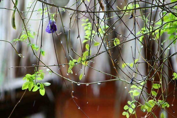 Bach Cuc Homestay Long Hải Exteriér fotografie