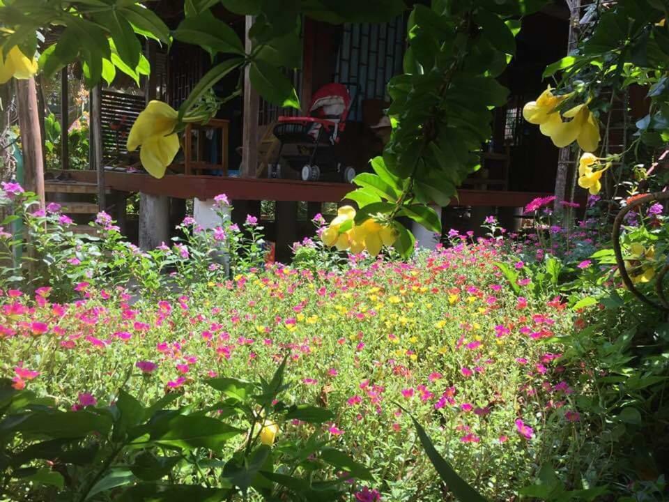 Bach Cuc Homestay Long Hải Exteriér fotografie